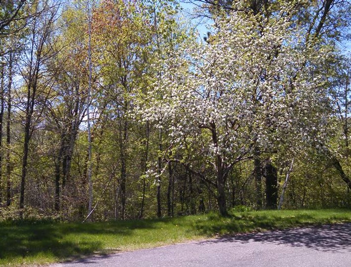 13173634_10209809922272723_5263650730431669044_n