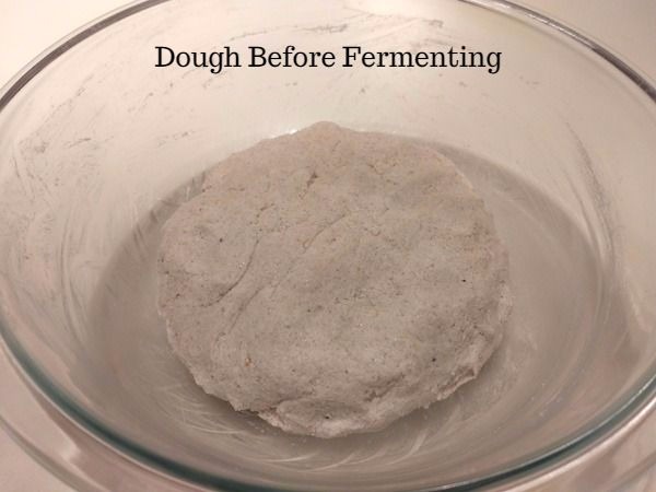 GF biscuits before fermenting