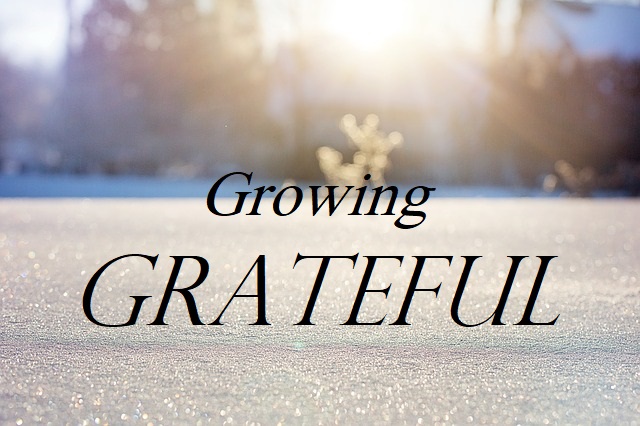 growing grateful