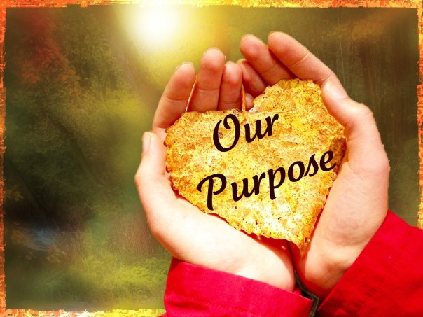 Hands And Leaf Purpose