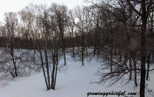 IMG_20180331_194542119