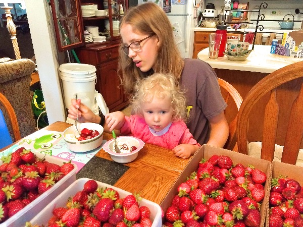 strawberry eating 2018