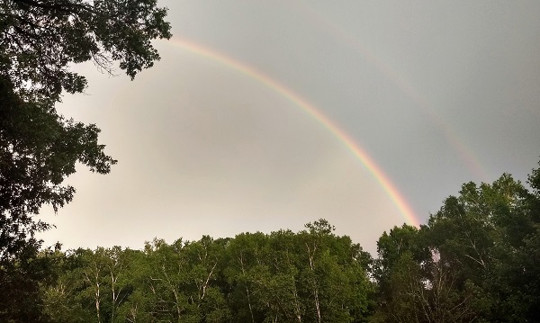 IMG_20190714_203814516_HDR